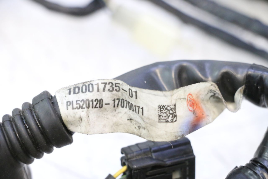 photo de FAIXA DE CABOS PIAGGIO MP3 500 (2016 - 2018) - Ampliação técnica