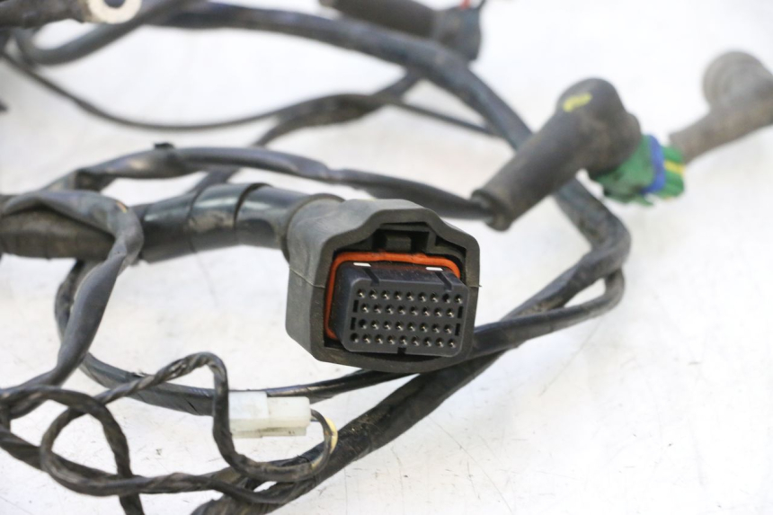 photo de FAIXA DE CABOS PIAGGIO MP3 500 (2016 - 2018) - Pontos de fixação