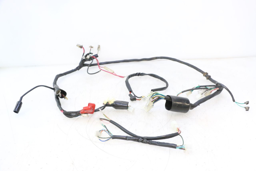 photo de FAIXA IMF INDUSTRIE NEW PACH 2T 50 (2014 - 2020) - Vista principal