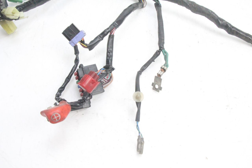 photo de FAIXA DE CABOS HONDA PCX (JF28) 125 (2009 - 2011) - Ampliação técnica