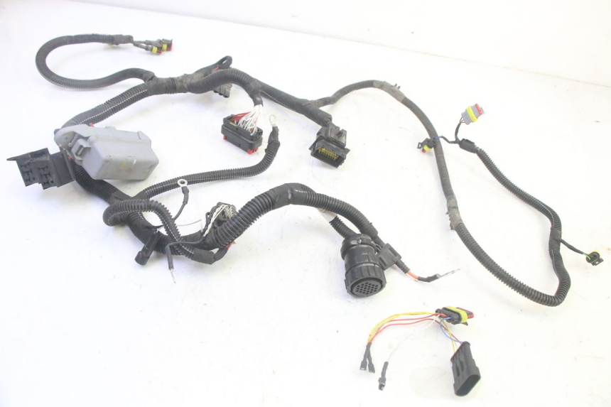 photo de FAIXA DE CABOS LIGIER PULSE 3 1 (2014 - 2020) - Detalhes característicos