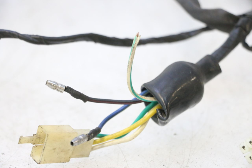 photo de FEIXE RAZZO QTR 50 (2011 - 2018) - Detalhes característicos