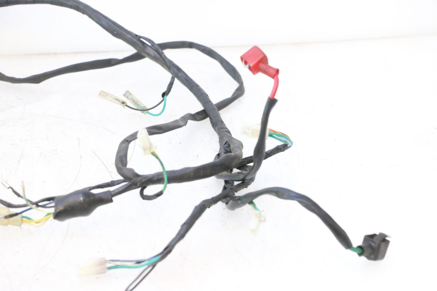 photo de FEIXE RAZZO QTR 50 (2011 - 2018) - Estrutura - ampliação