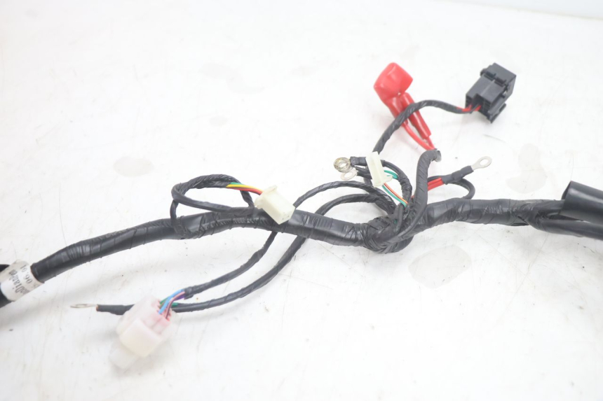 photo de FAIXA JM MOTORS R-MAX TECH 50 (2024 - 2026) - Outro ângulo de visão