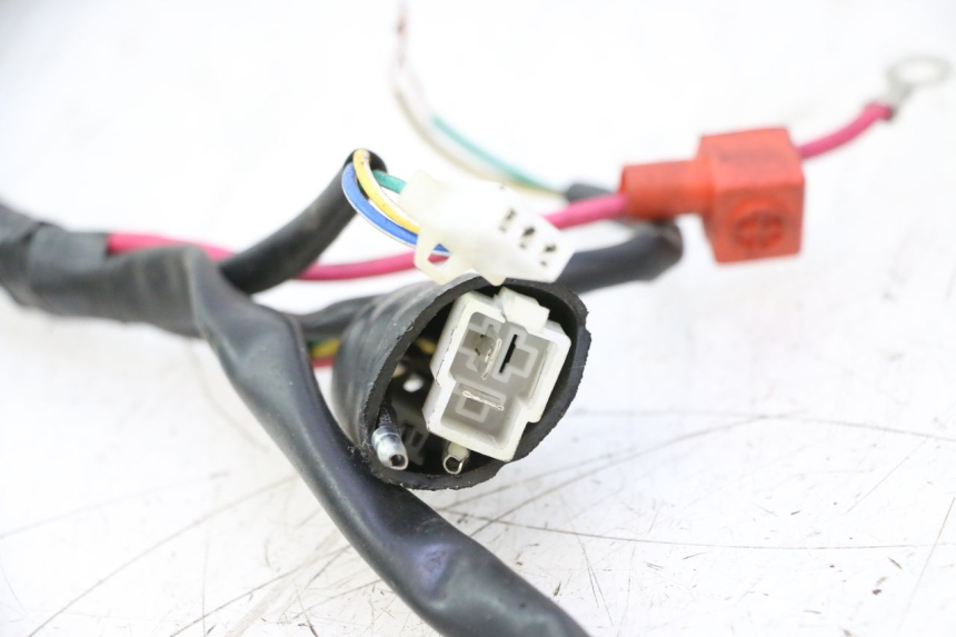 photo de FAIXA DE CABOS TNT MOTOR ROMA 10' 4T 50 (2007 - 2018) - Detalhes característicos