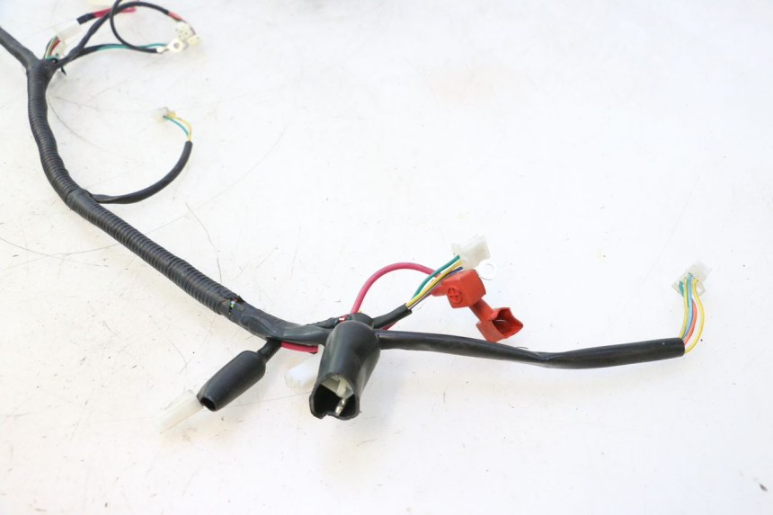 photo de FAIXA DE CABOS TNT MOTOR ROMA 12' 2T 50 (2007 - 2018) - Detalhe da peça