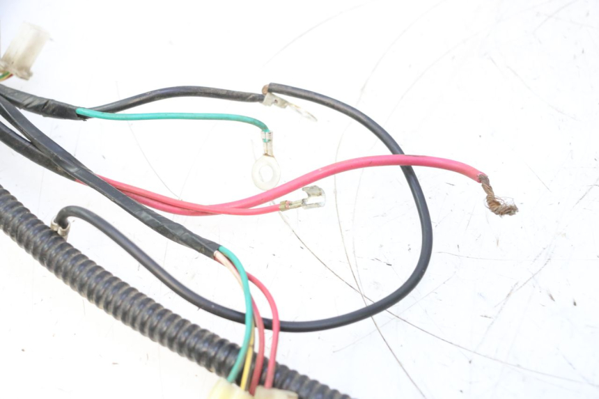 photo de FAIXA DE CABOS TNT MOTOR ROMA 12' 2T 50 (2007 - 2018) - Detalhe da peça