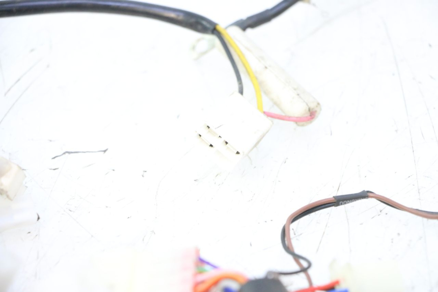 photo de FEIXE BAIKU SAKURA 1 (2021 - 2025) - Ampliação técnica