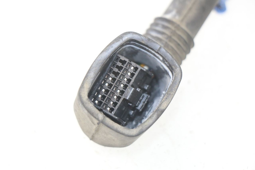 photo de Fiação da cabeça da suspensão dianteira YAMAHA TDM ABS 900 (2002 - 2014) - Vista geral