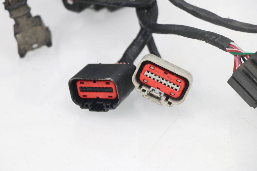 photo de FAIXA DE CABOS JM MOTORS VIPER 4T 50 (2015 - 2022) - Detalhes característicos