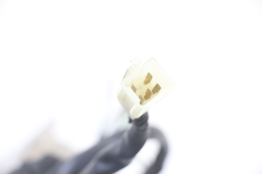 photo de Luz traseira SYM ORBIT 2 4T 50 (2008 - 2017) - Peça verificada