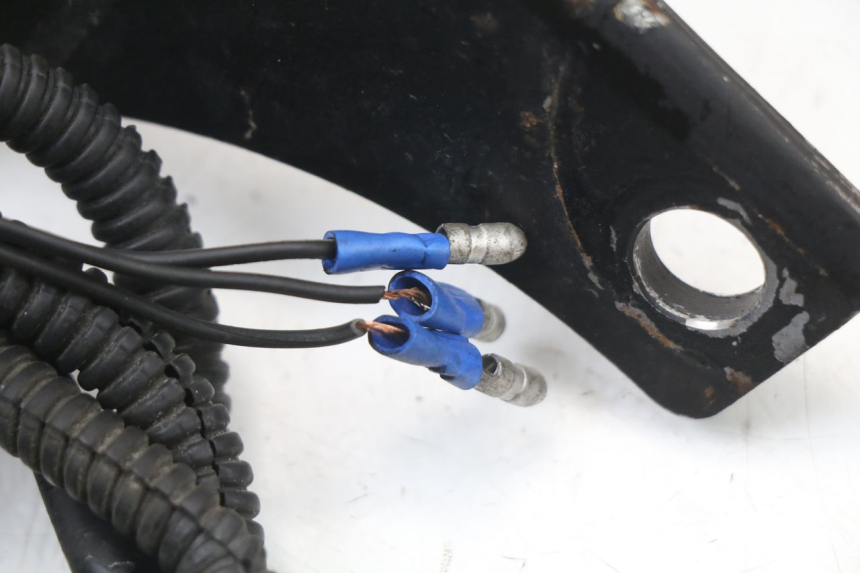 photo de Luz traseira HARLEY DAVIDSON SPORTSTER XL CUSTOM 1200 (2003 - 2004) - Pontos de fixação