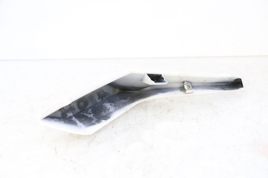 photo de LATERAL TRASEIRO DIREITO BMW G310 R 310 (2016 - 2020) - Detalhe da peça
