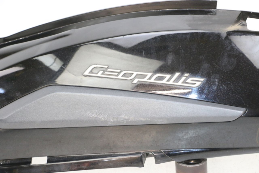 photo de LATERAL TRASEIRO ESQUERDO PEUGEOT GEOPOLIS RS 125 (2007 - 2009) - Detalhes característicos