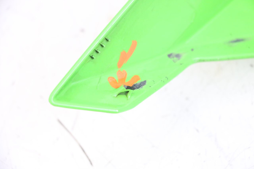photo de LATERAL TRASEIRO ESQUERDO KAWASAKI NINJA 400 (2018 - 2023) - Zoom do estado de desgaste