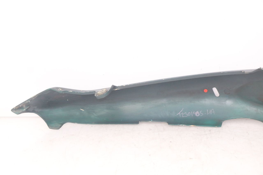photo de LATERAL TRASEIRO ESQUERDO TRIUMPH SPRINT ST 955 (1999 - 2001) - Ampliação técnica