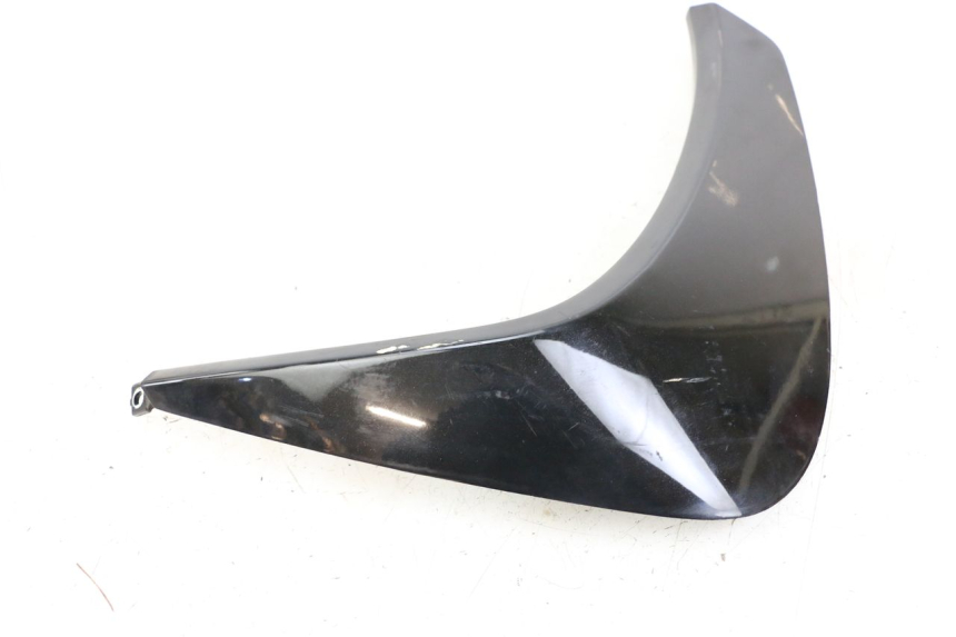 photo de LATERAL DIANTEIRO DIREITO PEUGEOT GEOPOLIS RS 125 (2007 - 2009) - Ampliação técnica