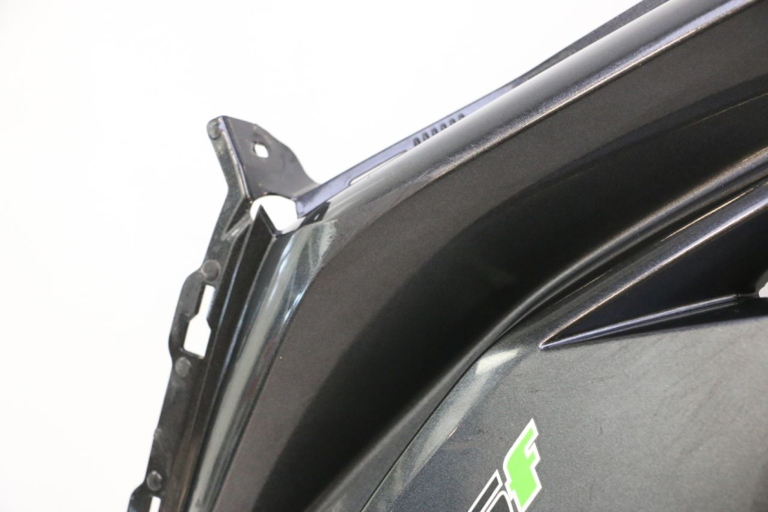 photo de LATERAL DIANTEIRO ESQUERDO KAWASAKI ER-6 ER6 F ABS 650 (2012 - 2016) - Detalhe da peça