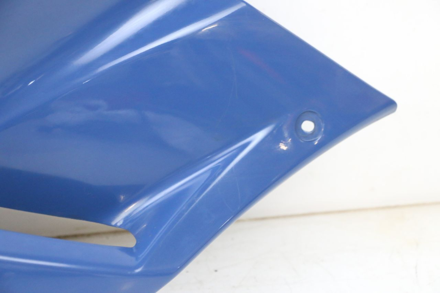 photo de LATERAL DIANTEIRO ESQUERDO YAMAHA TDM ABS 900 (2002 - 2014) - Vista de perto