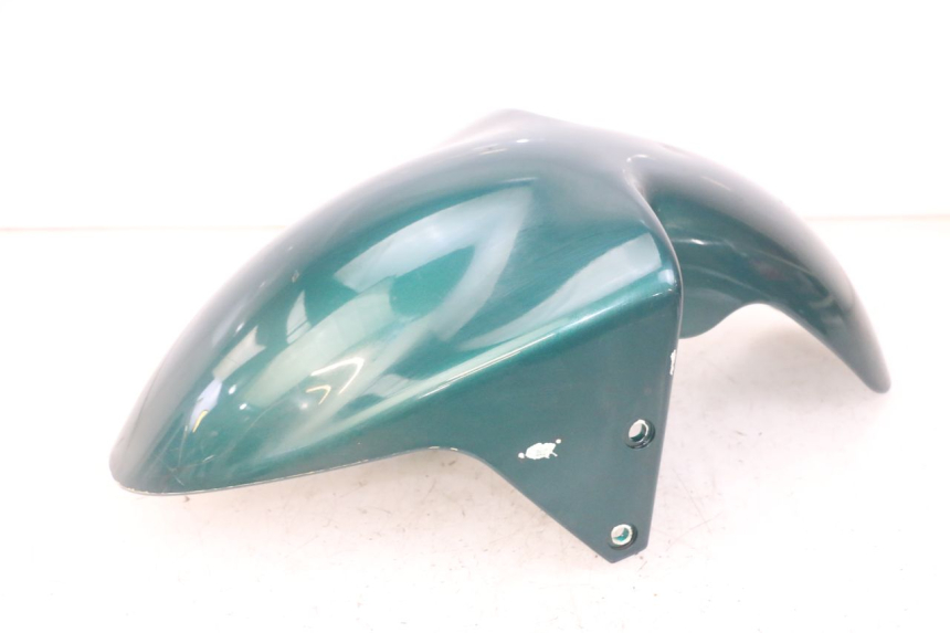 photo de PARALAMA DIANTEIRO PEUGEOT ELYSEO 125 (1999 - 2004) - Vista geral