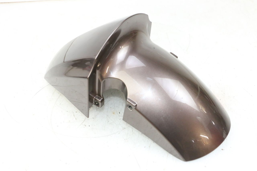 photo de PARALAMA DIANTEIRO PEUGEOT KISBEE 2T 50 (2010 - 2017) - Vista geral