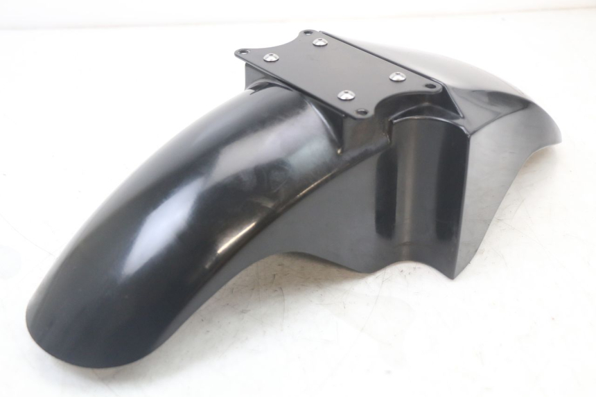 photo de PARALAMA DIANTEIRO SUZUKI GS F 500 (2004 - 2007) - Vista geral