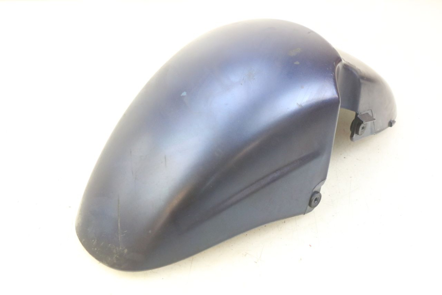 photo de PARALAMA DIANTEIRO PIAGGIO X9 EVOLUTION 125 (2003 - 2007) - Vista geral