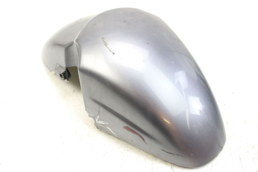 photo de PARALAMA DIANTEIRO PIAGGIO X9 EVOLUTION 125 (2003 - 2007) - Vista principal