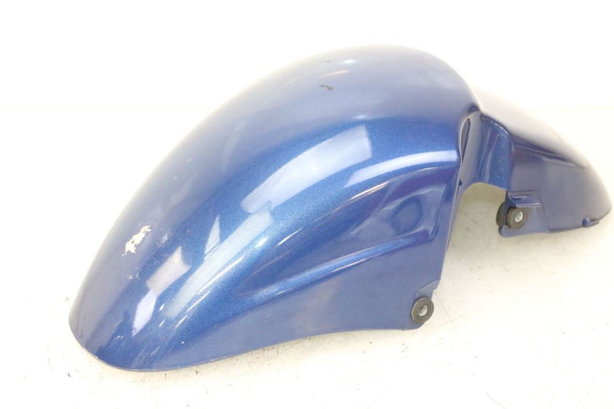 photo de PARALAMA DIANTEIRO PIAGGIO X9 EVOLUTION 125 (2003 - 2007) - Vista principal