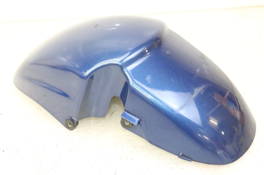 photo de PARALAMA DIANTEIRO PIAGGIO X9 EVOLUTION 125 (2003 - 2007) - Vista geral