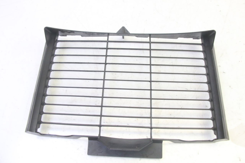 photo de GRADE DO RADIADOR YAMAHA FZ6 N FAZER 600 (2004 - 2006) - Vista principal