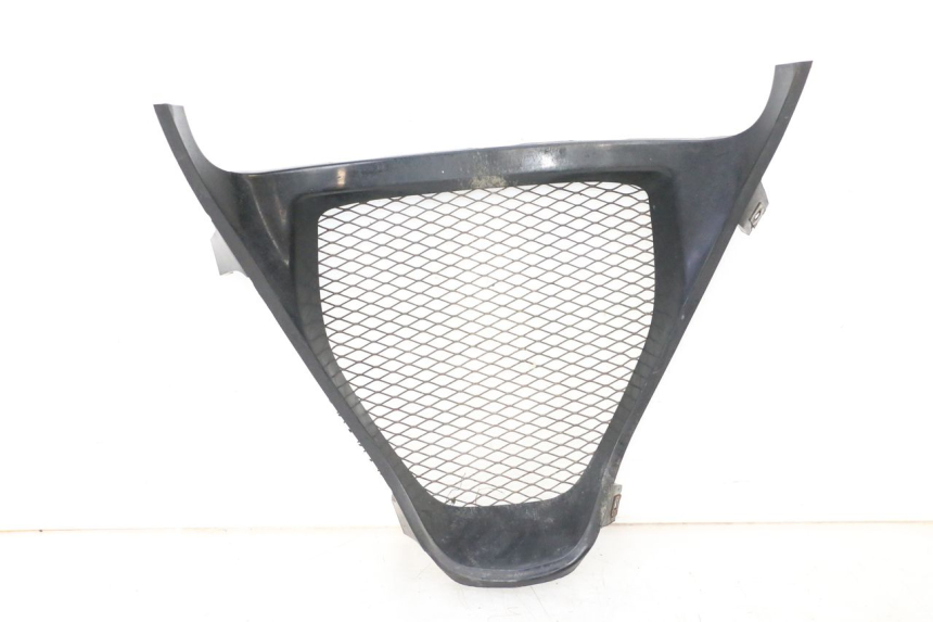 photo de GRADE DO RADIADOR SUZUKI GSXR GSX-R 1000 (2003 - 2004) - Vista principal