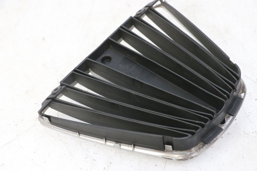 photo de GRADE DO RADIADOR PIAGGIO MP3 LT 400 (2007 - 2012) - Vista geral