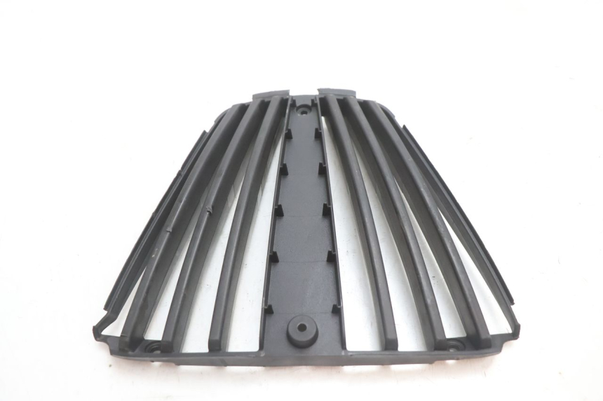 photo de GRADE DO RADIADOR PIAGGIO MP3 LT 300 (2010 - 2016) - Detalhe da peça