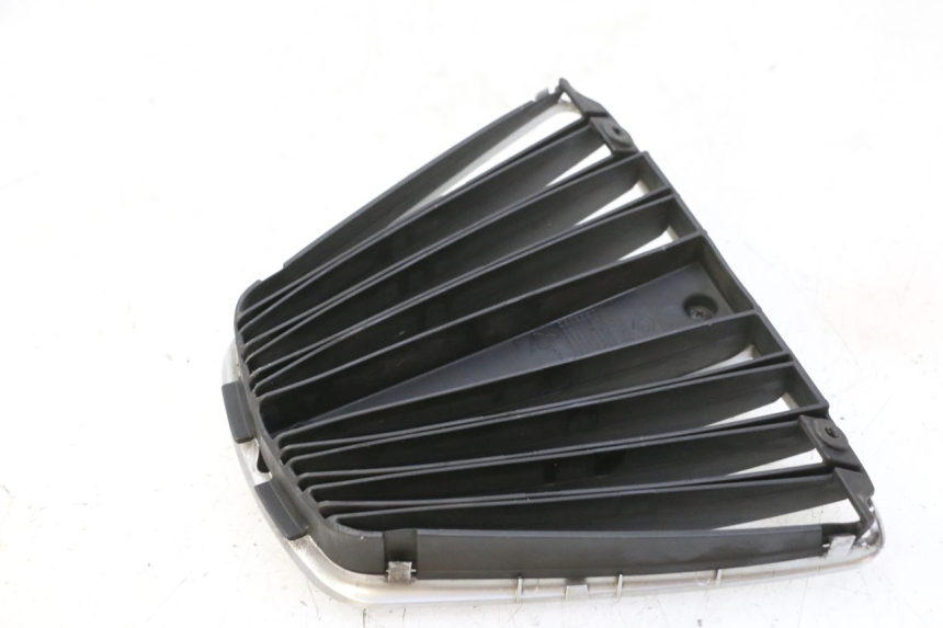 photo de GRADE DO RADIADOR PIAGGIO MP3 RL 250 (2006 - 2010) - Ampliação técnica