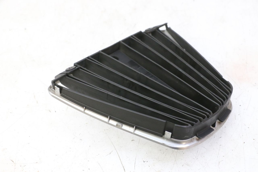 photo de GRADE DO RADIADOR PIAGGIO MP3 RL 250 (2006 - 2010) - Vista geral