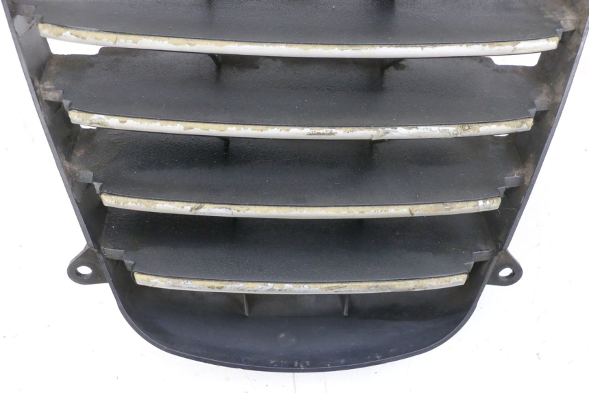 photo de GRADE DO RADIADOR PIAGGIO MP3 125 (2006 - 2014) - Detalhe da peça