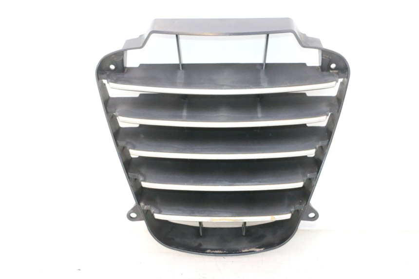 photo de GRADE DO RADIADOR PIAGGIO MP3 125 (2006 - 2014) - Vista principal