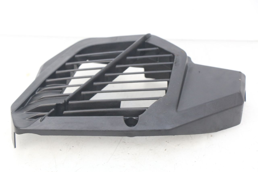 photo de GRADE DO RADIADOR HONDA PCX (JF57/JF64) 125 (2014 - 2018) - Vista principal