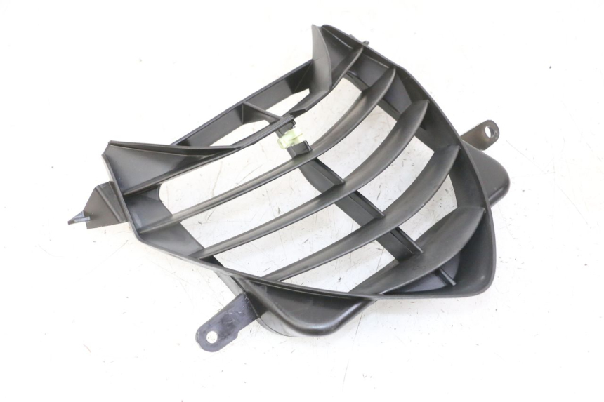 photo de GRADE DO RADIADOR PEUGEOT SPEEDFIGHT 2 LC 50 (2000 - 2009) - Vista principal