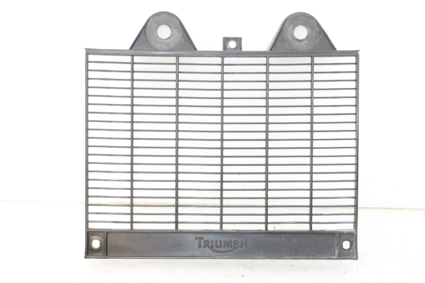 photo de GRADE DO RADIADOR TRIUMPH SPRINT 900 (1995 - 1998) - Vista principal