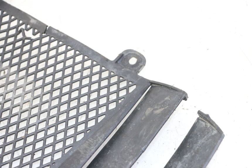 photo de GRADE DO RADIADOR KTM SUPERENDURO R 950 (2005 - 2009) - Detalhe da peça