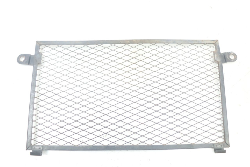 photo de GRADE DO RADIADOR YAMAHA TDM ABS 900 (2002 - 2014) - Vista principal