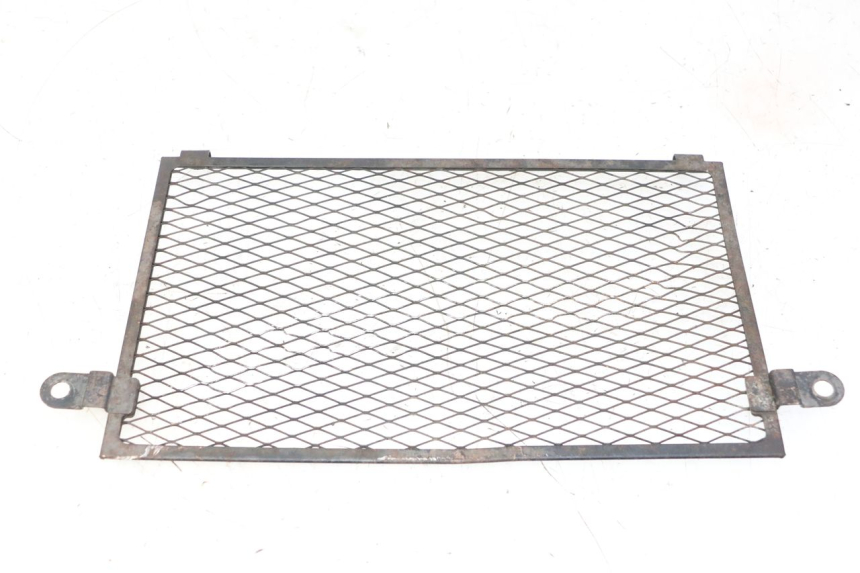 photo de GRADE DO RADIADOR YAMAHA TDM ABS 900 (2002 - 2014) - Vista principal