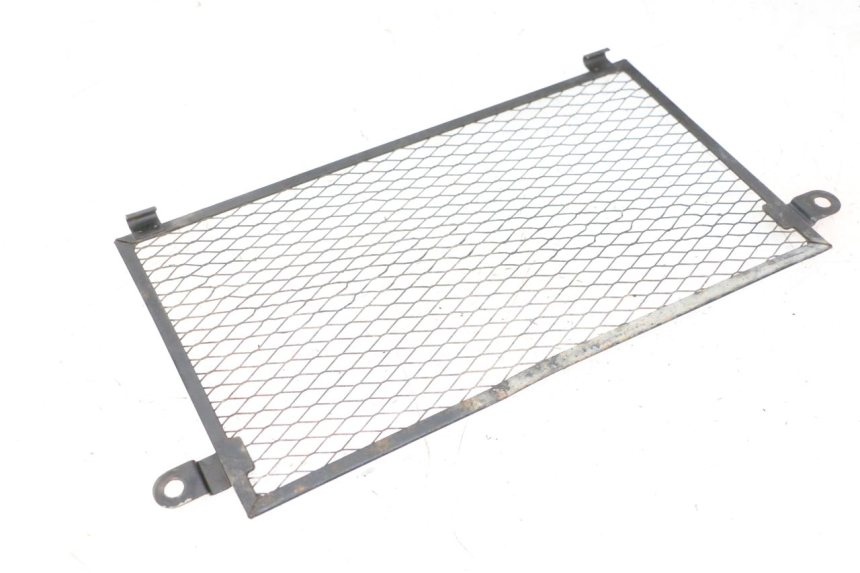 photo de GRADE DO RADIADOR YAMAHA TDM ABS 900 (2002 - 2014) - Zoom do estado de desgaste