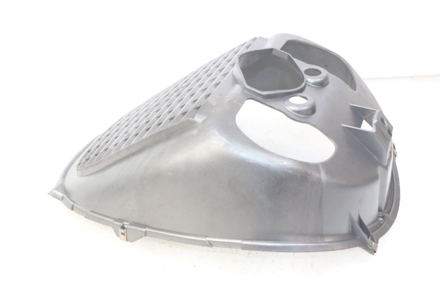 photo de GRELHA DO RADIADOR PIAGGIO X9 EVOLUTION 125 (2003 - 2007) - Detalhe da peça