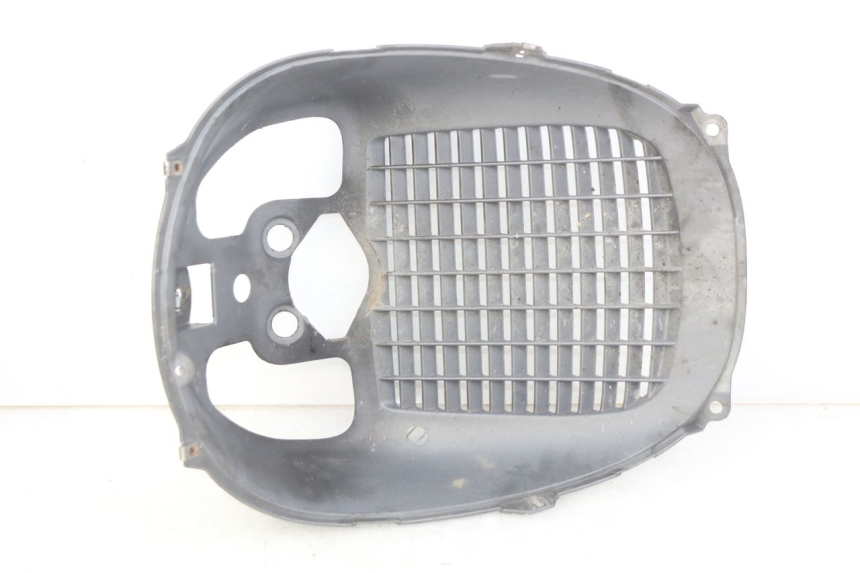 photo de GRELHA DO RADIADOR PIAGGIO X9 EVOLUTION 125 (2003 - 2007) - Vista principal