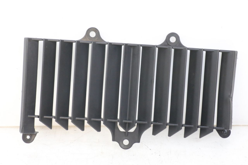 photo de GRADE DO RADIADOR YAMAHA XT X 660 (2004 - 2016) - Vista principal