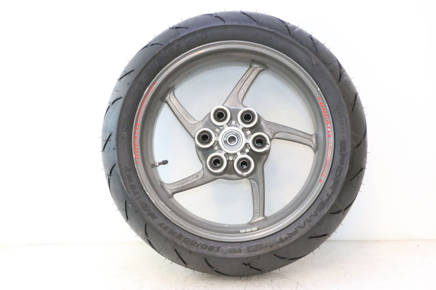 photo de ARO TRASEIRO E PNEU DUCATI SS IE DS CARENEE 1000 (2002 - 2006) - Vista de perfil