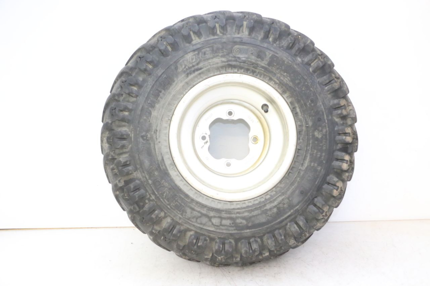 photo de ARO TRASEIRO E PNEU YAMAHA YFM R RAPTOR 250 (2008 - 2014) - Vista principal